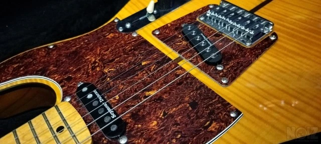 Parts Custom Tele