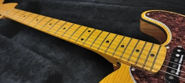 Parts Custom Tele