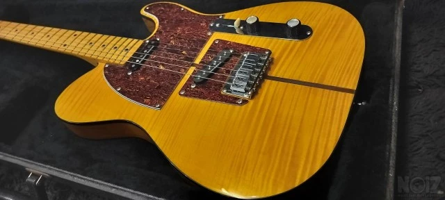 Parts Custom Tele