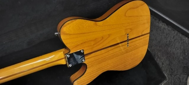 Parts Custom Tele