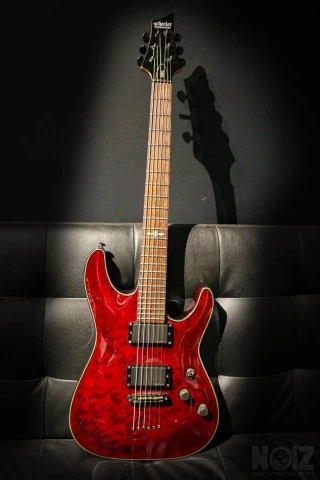 Schecter Damien Special