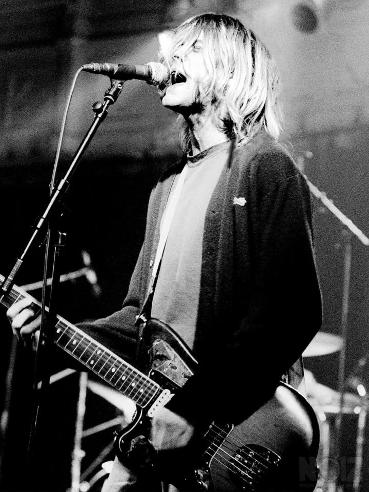 Κιθαρίστας για Grunge, Nu / alternative 
