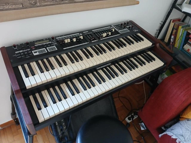 Hammond Skx Dual Manual Organ