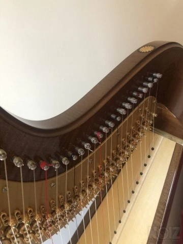 Άρπα CAMAC ATLANTIDE PRESTIGE