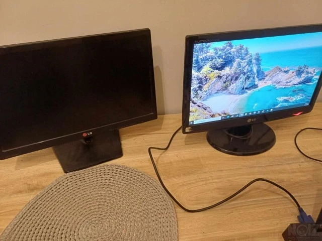 LG 19 monitor