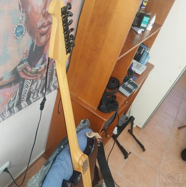 Aria Pro II Thor-Sound Series TS-350