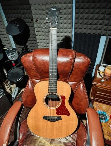 Taylor Gs mini με μαγνητη Εs-Go for Taylor