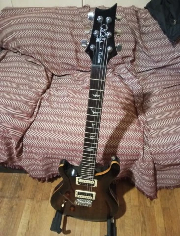 PRS SE Custom 24