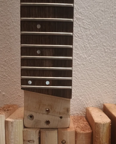 μπράτσο Hohner