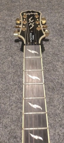 Epiphone Les Paul Custom Prophecy GX Black Cherry (2008
