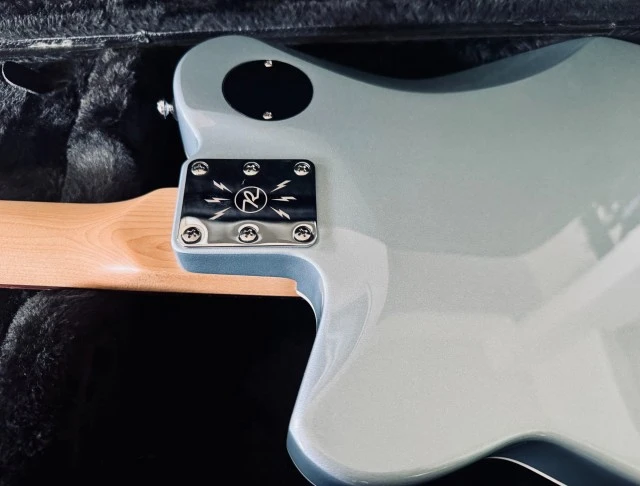 Reverend Double Agent OG + Hardcase