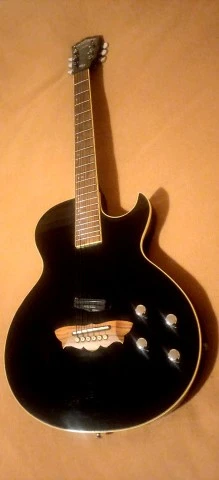 Washburn Sammy Hagar RR-100