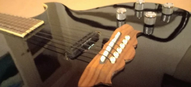Washburn Sammy Hagar RR-100