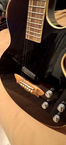 Washburn Sammy Hagar RR-100