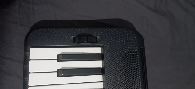 Casio Casiotone CT-S300 Keyboard
