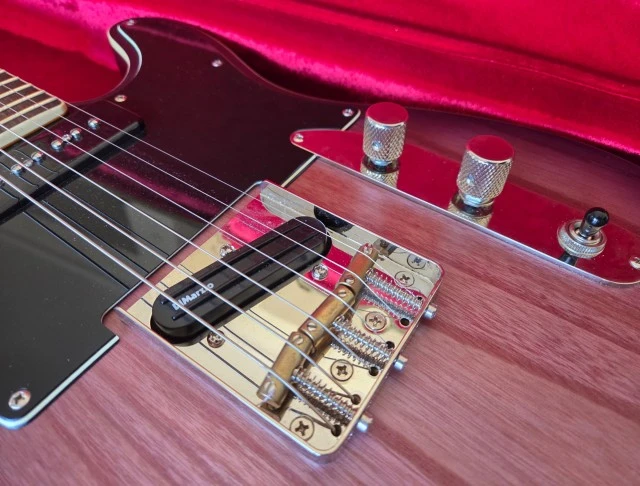 Schecter PT Special, DiMarzio Tone Zone, θήκη