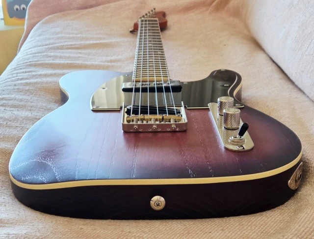 Schecter PT Special, DiMarzio Tone Zone, θήκη