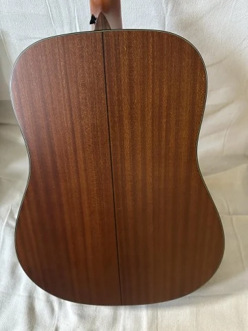 Walden D570