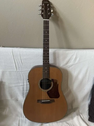 Walden D570