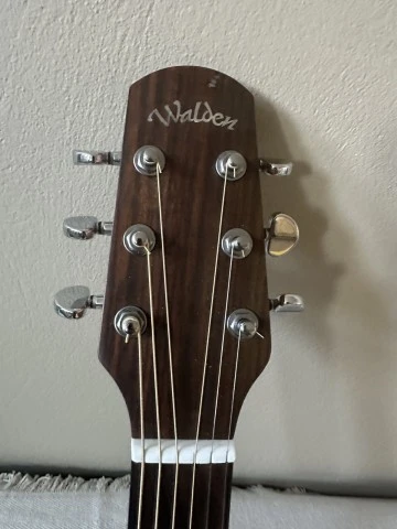 Walden D570