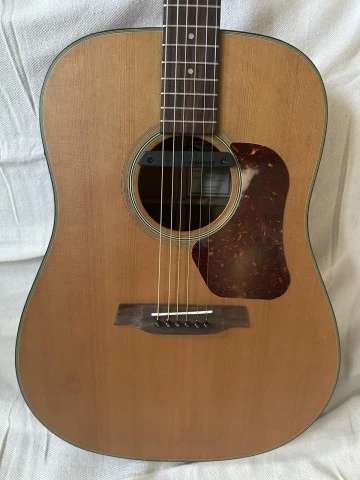 Walden D570