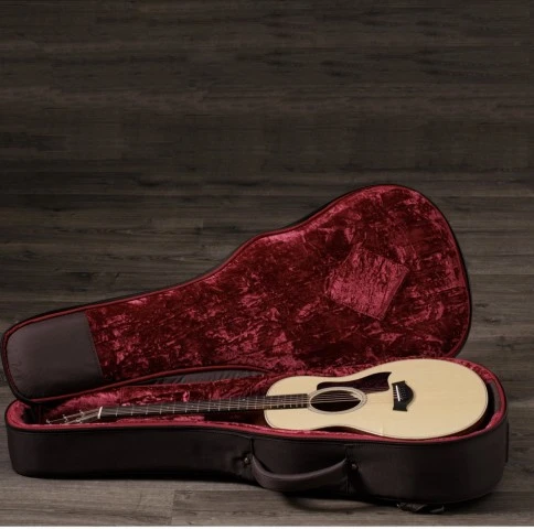 Taylor GS Mini-e Rosewood Plus