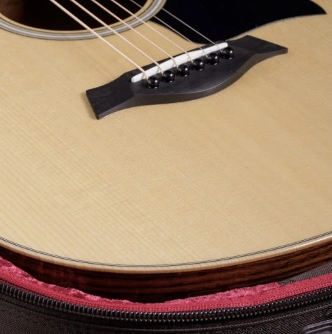 Taylor GS Mini-e Rosewood Plus