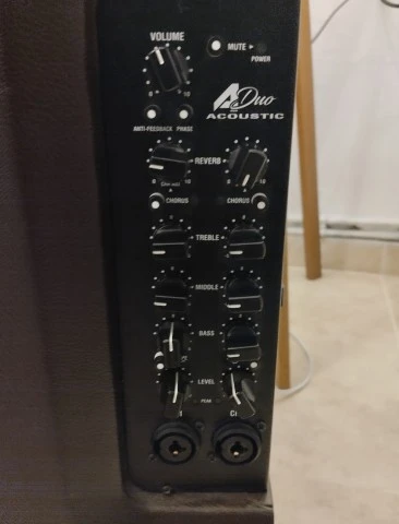Laney A1 Duo