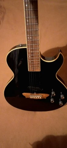 Washburn Sammy Hagar RR-100