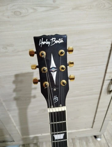 Harley Benton dc locking tuner's probucker pickup's 
