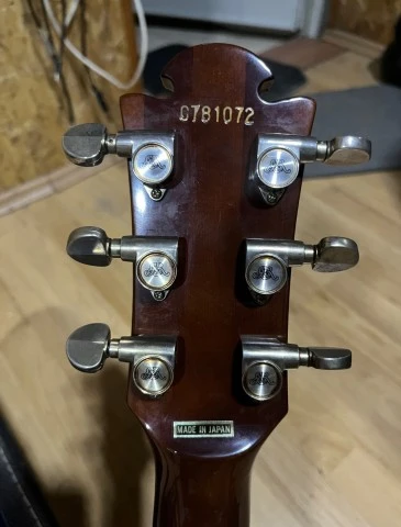 Roland MIDI Guitar GS 500