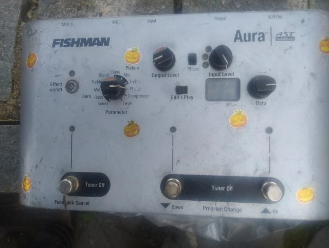 Fishman Aura AST