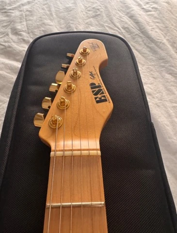 ESP Takayoshi Ohmura Custom Shop Sparkle Gold