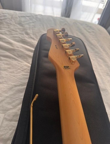 ESP Takayoshi Ohmura Custom Shop Sparkle Gold