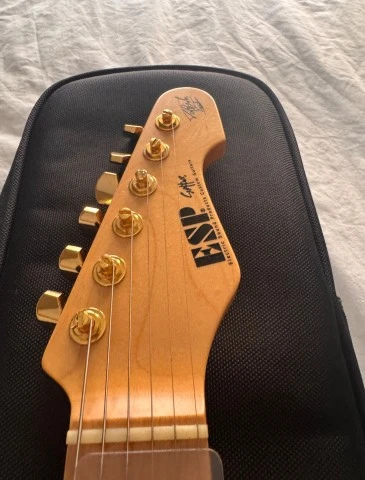 ESP Takayoshi Ohmura Custom Shop Sparkle Gold