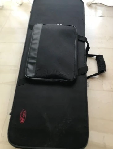 Harley Benton strat + hard case(με φερμουάρ )