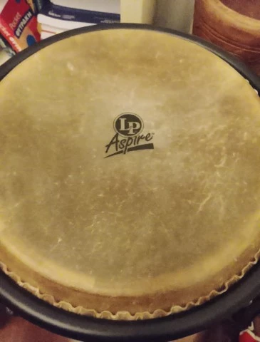 LP 11" Aspire