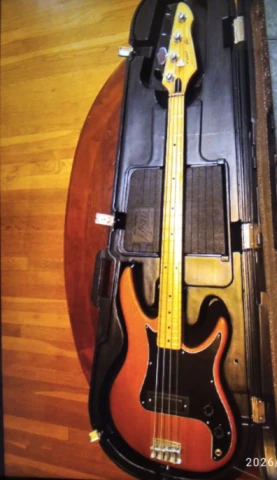 Peavey Patriot Bass Ζητείται για Αγορά