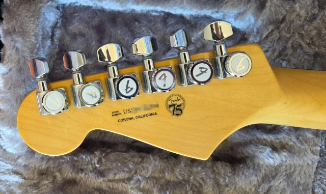 Fender American Professional II Stratocaster
