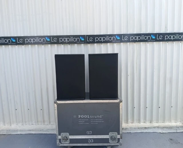 Nexo PS15 Bass