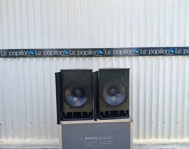 Nexo PS15 Bass