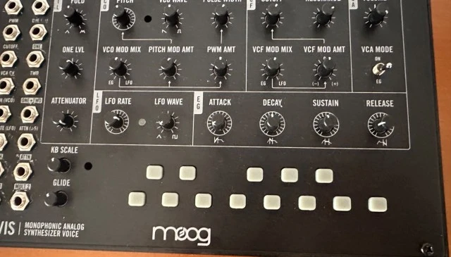 Αναλογικό monosynth Moog Mavis