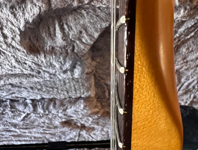 Fender Stratocaster American Professional II HSS