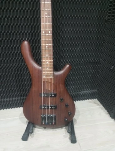 Mayones BE4 Exotic