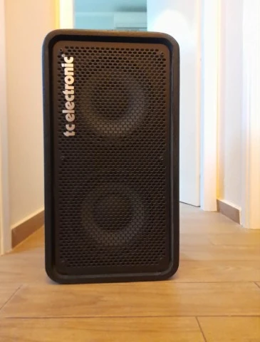 TC Electronic RS210