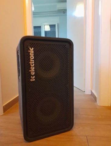 TC Electronic RS210