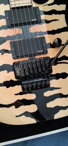 Jackson DK2M Japan