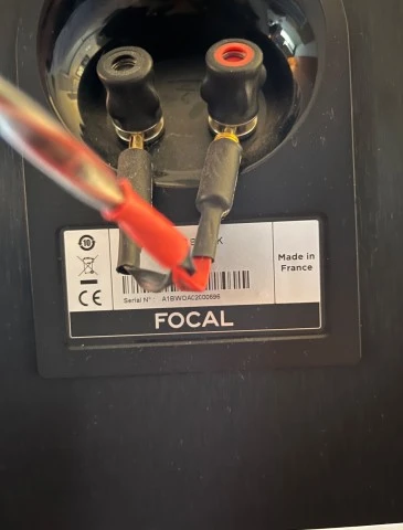 Focal Chora