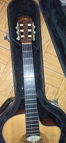 Taylor NS32CE ηλεκτροκλασικη