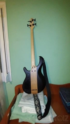 Μπάσο Cort artisan series open
